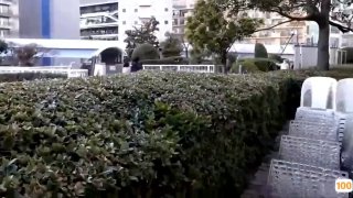 蔚斗一区|亚洲精品99久久久久中文字幕